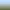 Vignes avec des plants de raisin verts et des poteaux en bois sous un ciel bleu avec des collines en arrière-plan